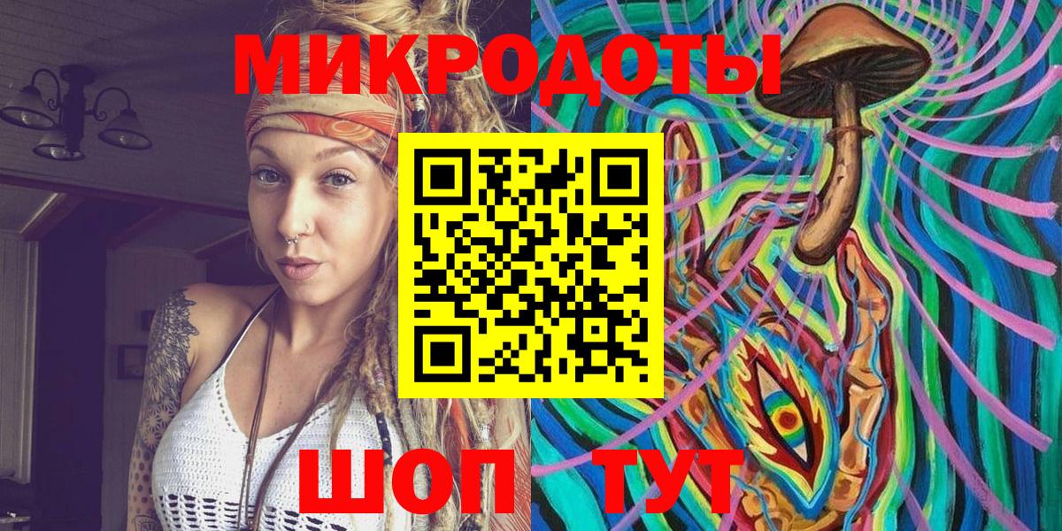 Псилоцибиновые грибы Psilocybe Владикавказ