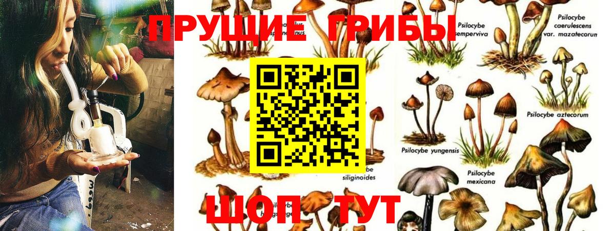 Галлюциногенные грибы мухоморы  Вход с VPN  Владикавказ 